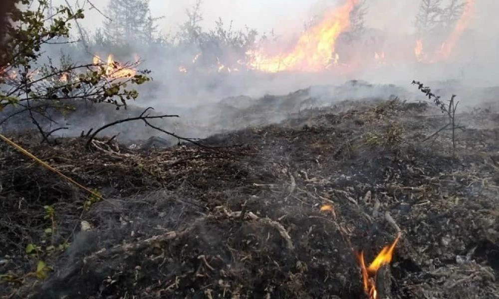 Σιβηρία: Κηρύχθηκε επίσημη αργία σε περιοχές που "πνίγονται" από τον καπνό των πυρκαγιών